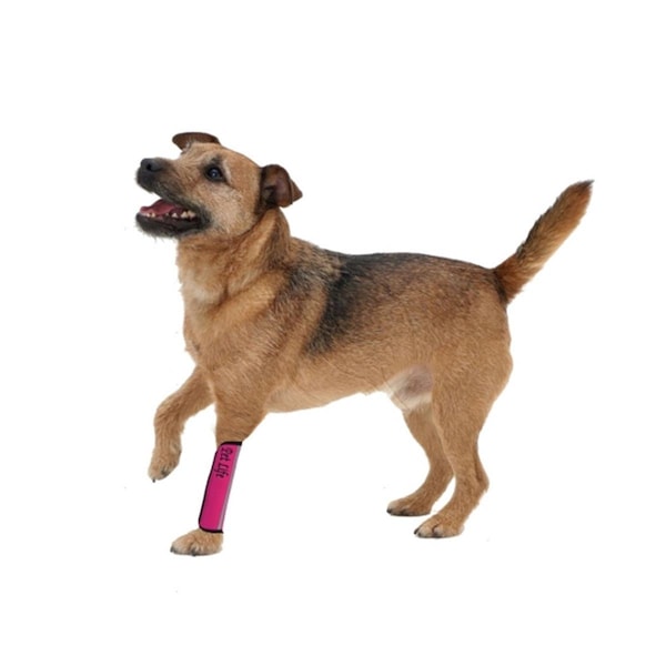 Petpurifiers Extreme-Neoprene Joint Protective Reflective Pet Sleeves- Pink - Large PE3718470 - main